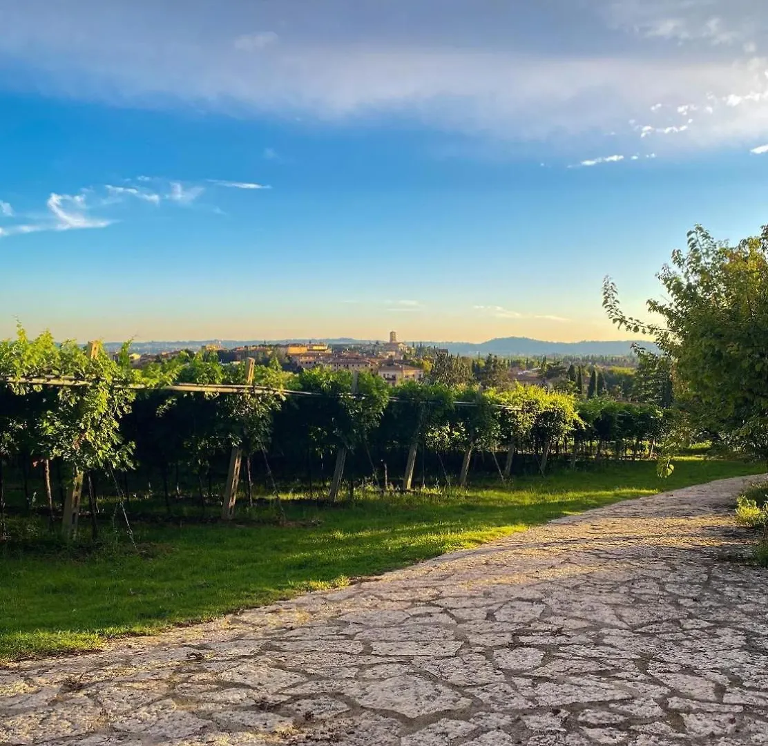 Villa In Valpolicella San Pietro in Cariano Holiday home
