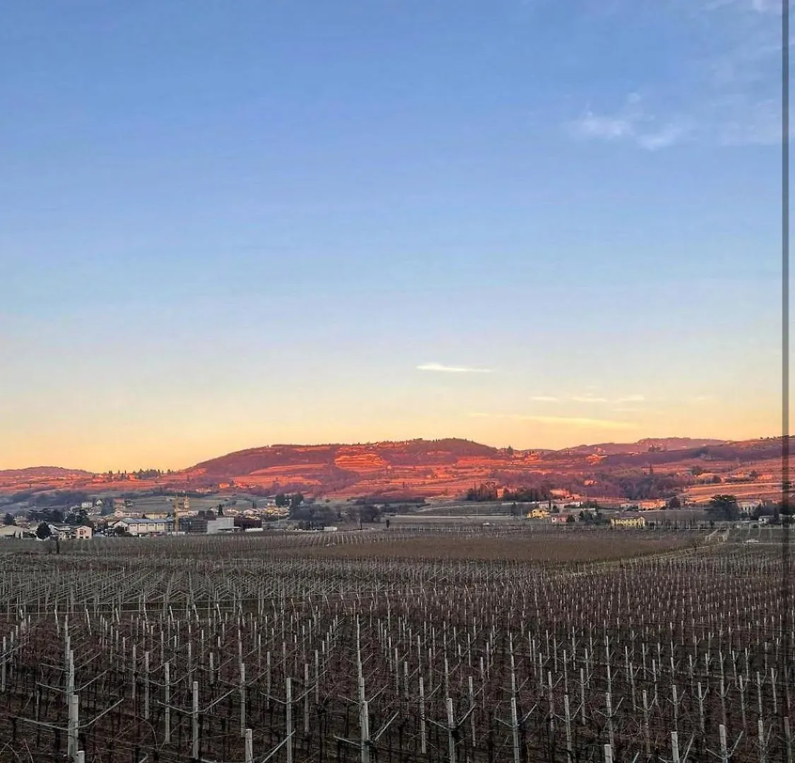 Holiday home Villa In Valpolicella San Pietro in Cariano